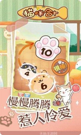 猫咪合十手游攻略