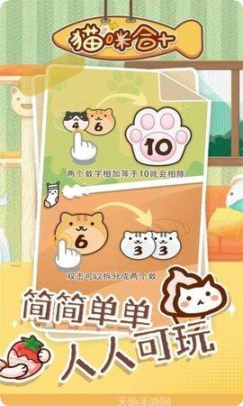 猫咪合十下载地址