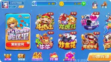 金花娱乐安卓版