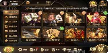 本飞虎国际角色介绍