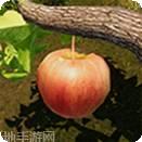 水果收割竞赛