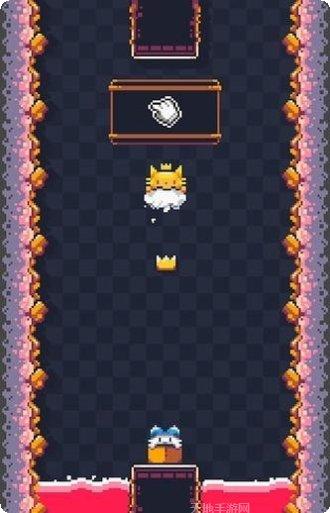 猫猫冲浪无止境最新版本
