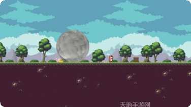 图片4