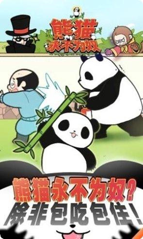 熊猫永不为奴角色介绍
