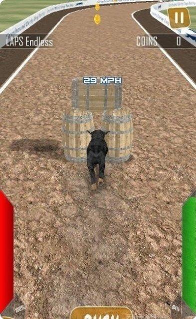 狗狗赛跑3D下载
