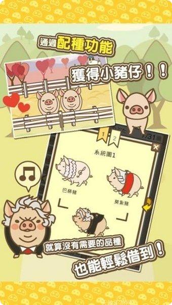 养猪场3D建造攻略