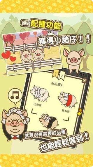 养猪场3D动物养殖
