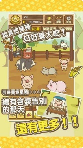 养猪场3D农场管理