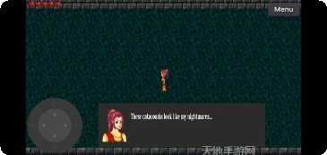 梦想的家装风格