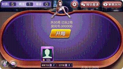 顺发填大坑游戏攻略