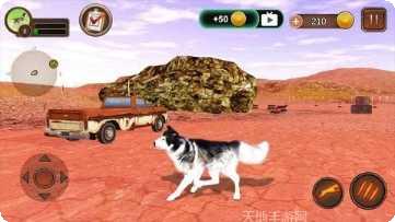 哈士奇萌宠屋最新版本