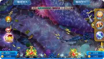 金阳娱乐安卓版