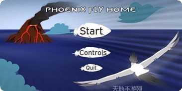 凤凰飞回家游戏攻略