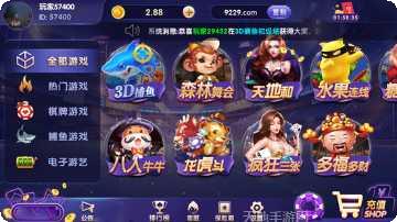 龟派气功棋牌下载