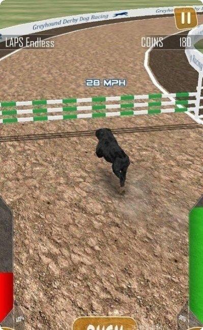 狗狗赛跑3D玩法介绍