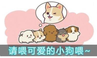 喂养小怪兽游戏攻略