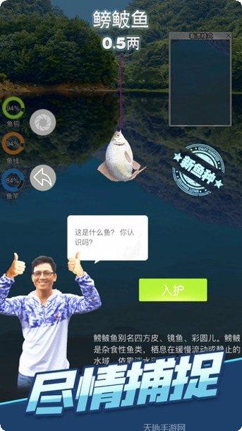天天钓鱼游戏下载