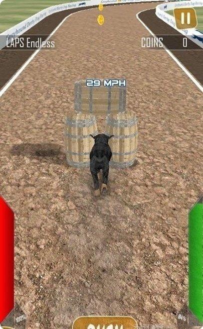 狗狗赛跑3D游戏下载