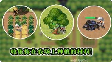 勇敢者的农场角色选择