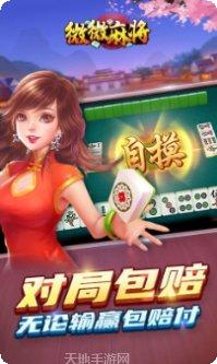 微微麻将下载