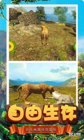 模拟猎豹生存挑战