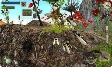 大黄蜂猎人装备搭配