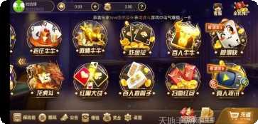 白金岛二七王最新版本