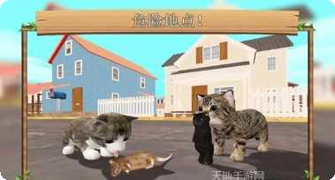 猫咪生活闲置收藏家游戏攻略