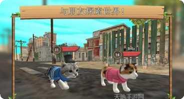 猫咪生活闲置收藏家玩法介绍