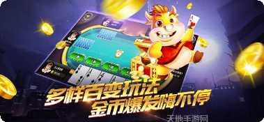 魔笛棋牌苹果版