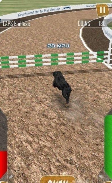 狗狗赛跑3D玩法介绍