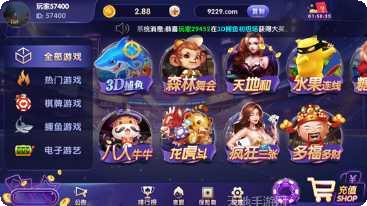 龟派气功棋牌攻略