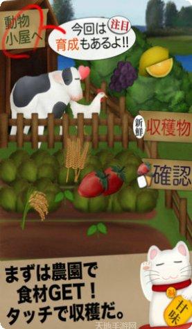农场经营基层做起心得