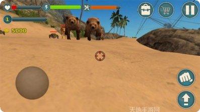 我的海豚秀玩法介绍