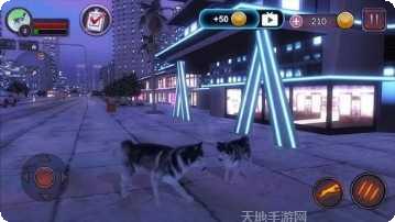 哈士奇斗虎下载地址