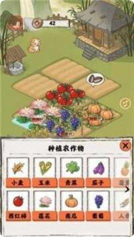 悠然人生玩法