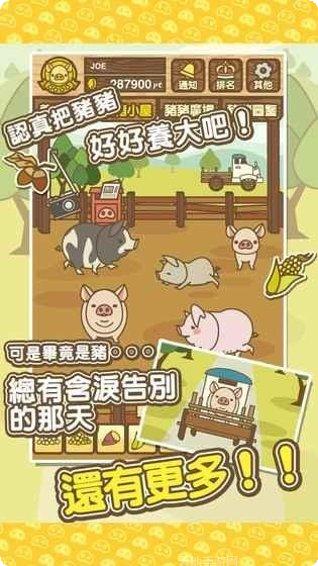 养猪场MIX玩家评价
