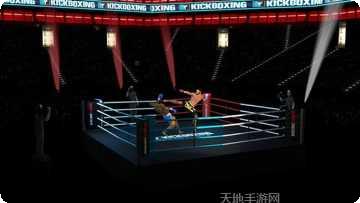 跆拳道明星最新版本