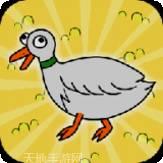 鸭子的故事