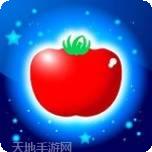 西红柿成长记