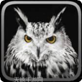 猫头鹰的糖果