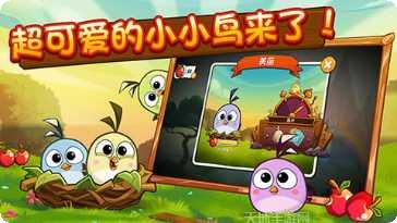 愤怒的小鸟角色介绍