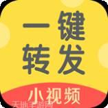 小视频转发