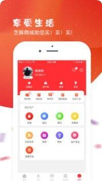 芝麻商标查询app