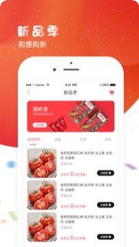 芝麻商标查询工具