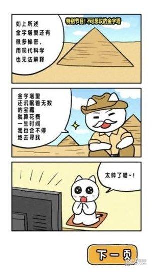 白猫的大冒险3攻略