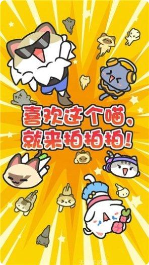 放克猫咪游戏下载