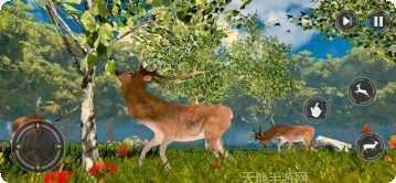 鹿模拟器幻想丛林社区
