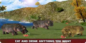 愤怒的小鸟之岛最新版本