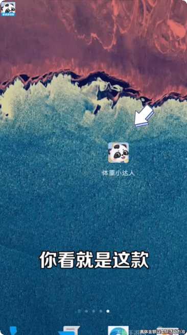 体重小达人玩法